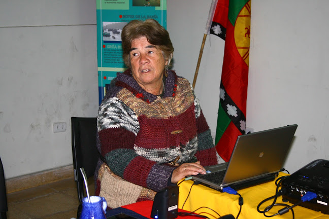 Opiniones de LAWEN MAULEN Medicina Ancestral Mapuche en San Antonio - Médico