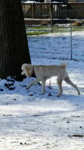 Public Swimming Pool «Reed Road Water Park», reviews and photos, 2000 Hastings Ln, Upper Arlington, OH 43221, USA