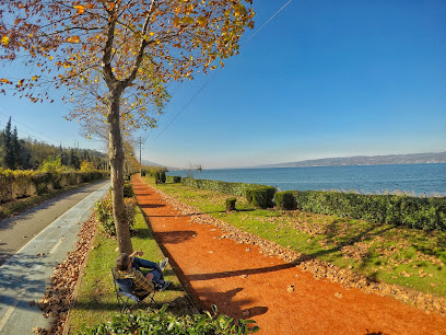 Sapanca Belediyesi Bisiklet ve Yürüyüş Yolu