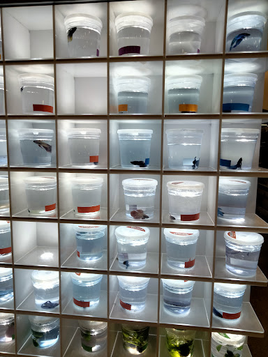 Pet Supply Store «PetSmart», reviews and photos, 3220 W Shaw Ave, Fresno, CA 93711, USA