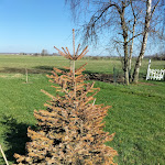 Photo n° 1 de l'avis de emmanuel.e fait le 12/03/2022 à 09:46 pour Fleurs et Sève, Artisan Fleuriste à Rosult