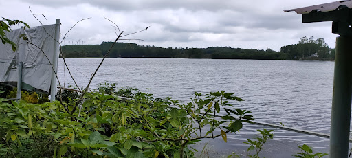 Top 20 cửa hàng mỹ Huyện Sơn Hòa Phú Yên 2022