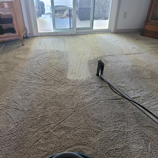 All Clean Carpet Cleaning