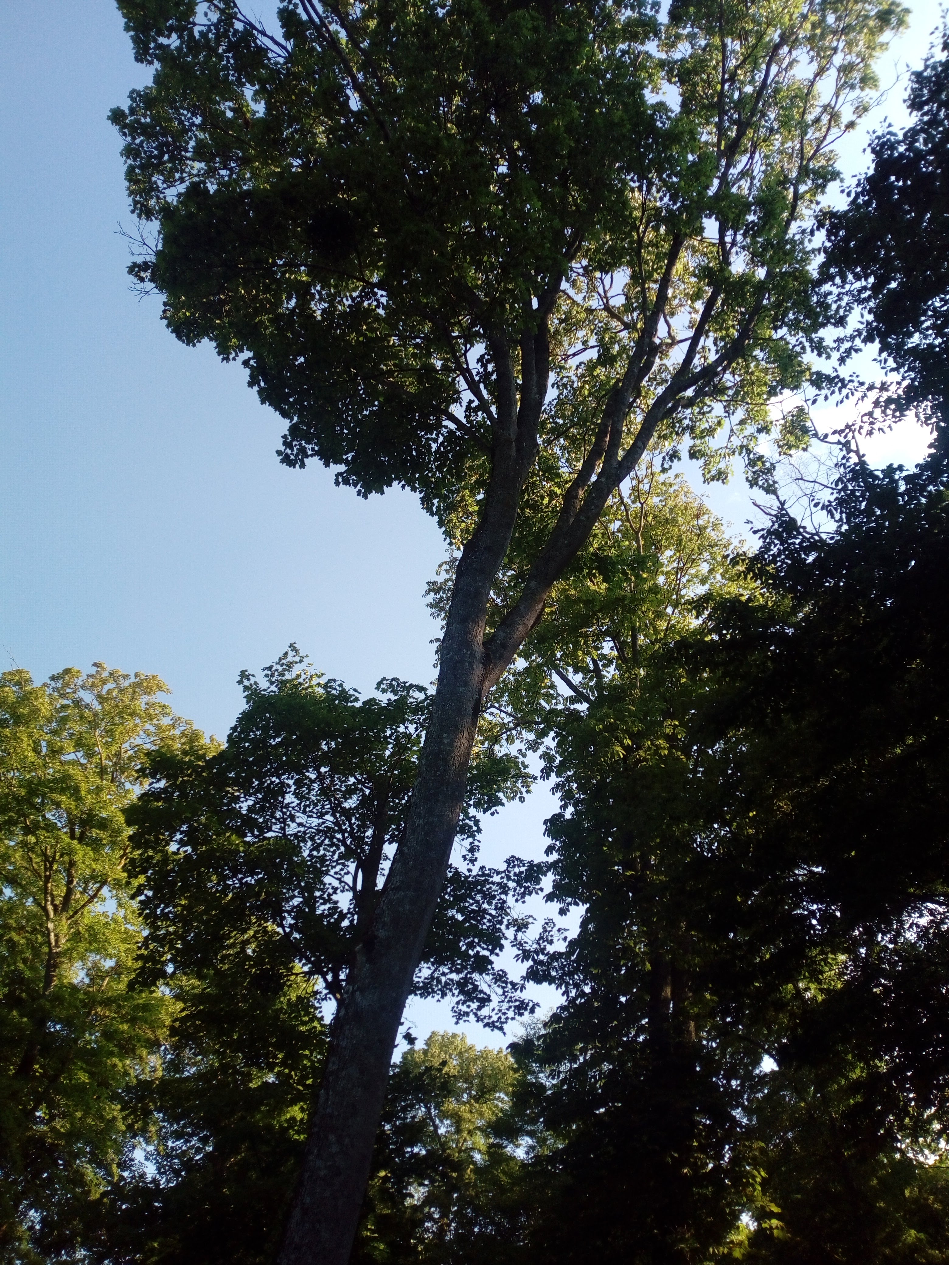 Photo n° 6 de l'avis de Nana. fait le 23/07/2019 à 13:59