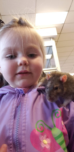 Pet Supply Store «Pet Partners», reviews and photos, 1962 W State St, Bristol, TN 37620, USA