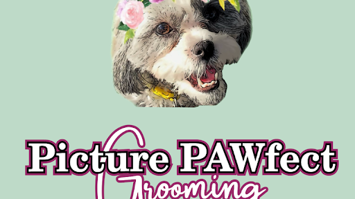 Photo of Picture PAWfect