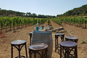 Mallorca Wine Tours image