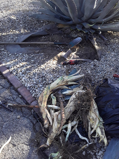 Key Duplication Service «Car Key Specialist Inc», reviews and photos, 14650 Parthenia St, Panorama City, CA 91402, USA