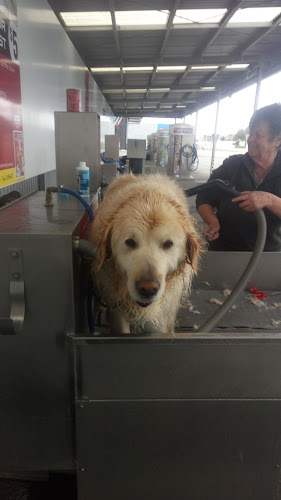 Reviews of Car and Dog Wash in Palmerston North - Car wash