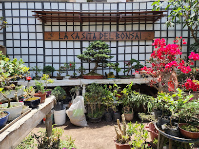 La Casita del Bonsai