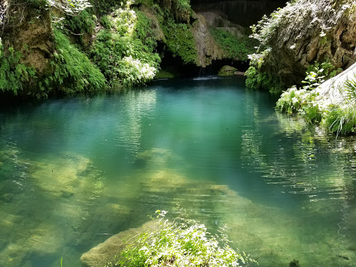 Non-Profit Organization «Westcave Outdoor Discovery Center», reviews and photos, 24814 Hamilton Pool Rd, Round Mountain, TX 78663, USA