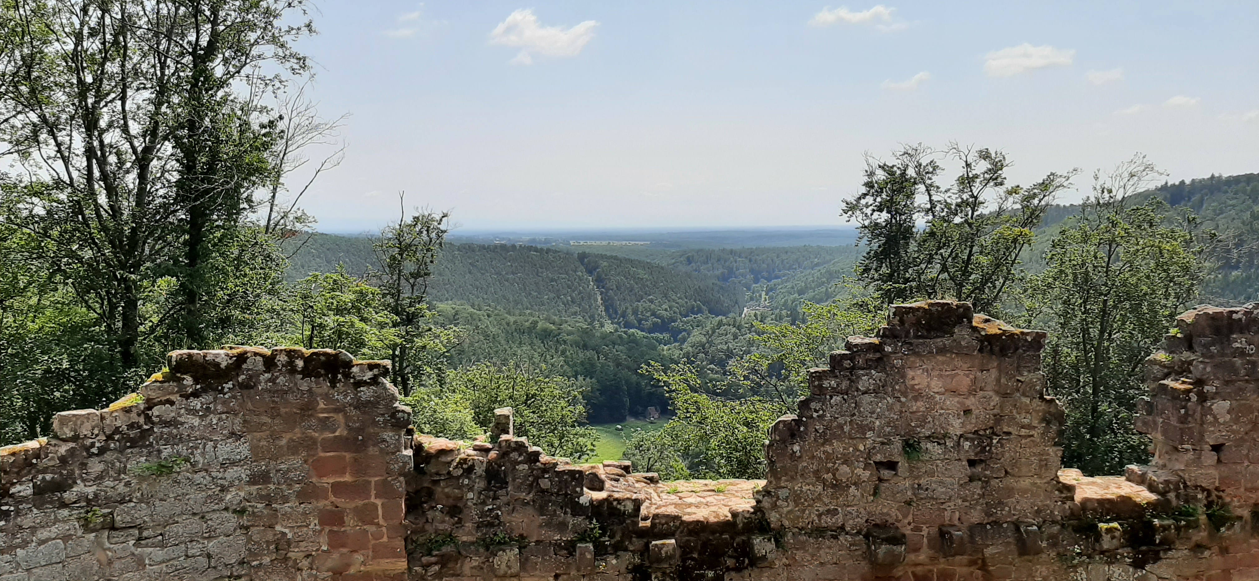 Photo n° 4 de l'avis de Carlos.a fait le 18/07/2021 à 16:13