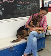 Cherry Brook Kennels - Photo 7 - Car repair in Canton, CT, Hartford