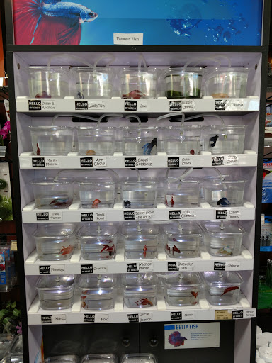 Pet Store «Pet Valu», reviews and photos, 37 Monroe Turnpike, Trumbull, CT 06611, USA