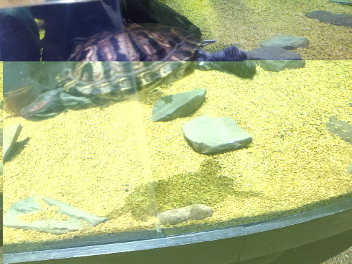 Aquarium «Greater Cleveland Aquarium», reviews and photos, 2000 Sycamore St, Cleveland, OH 44113, USA