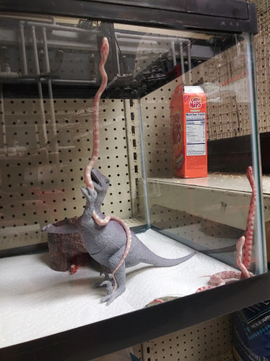 Pet Store «Pet Malls», reviews and photos, 11691 Boyette Rd, Riverview, FL 33569, USA