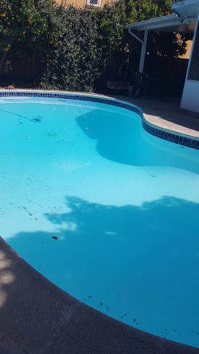 Rogelio Pool Cleaning-Pool Maintenance in Castro Valley CA-General Landscaping