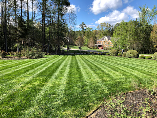 Green House Landscaping and Tree Service
