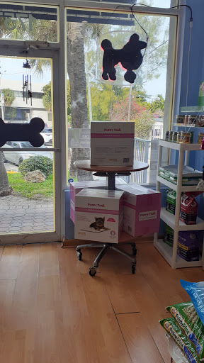 Pet Store «South Beach Pet Shop», reviews and photos, 634 6th St, Miami Beach, FL 33139, USA