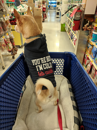 Pet Supply Store «PetSmart», reviews and photos, 6019 Wade Hampton Blvd, Taylors, SC 29687, USA