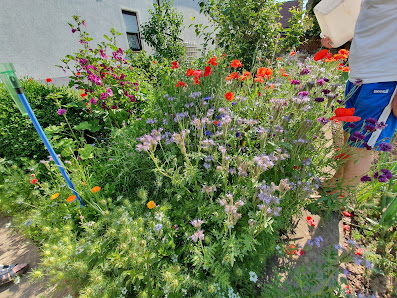 Opferbaum 97241 Bergtheim-Opferbaum, Deutschland