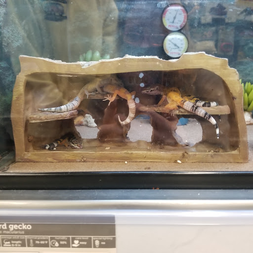 Pet Supply Store «Petco Animal Supplies», reviews and photos, 298 Spring Creek Drive, Franklin, TN 37067, USA