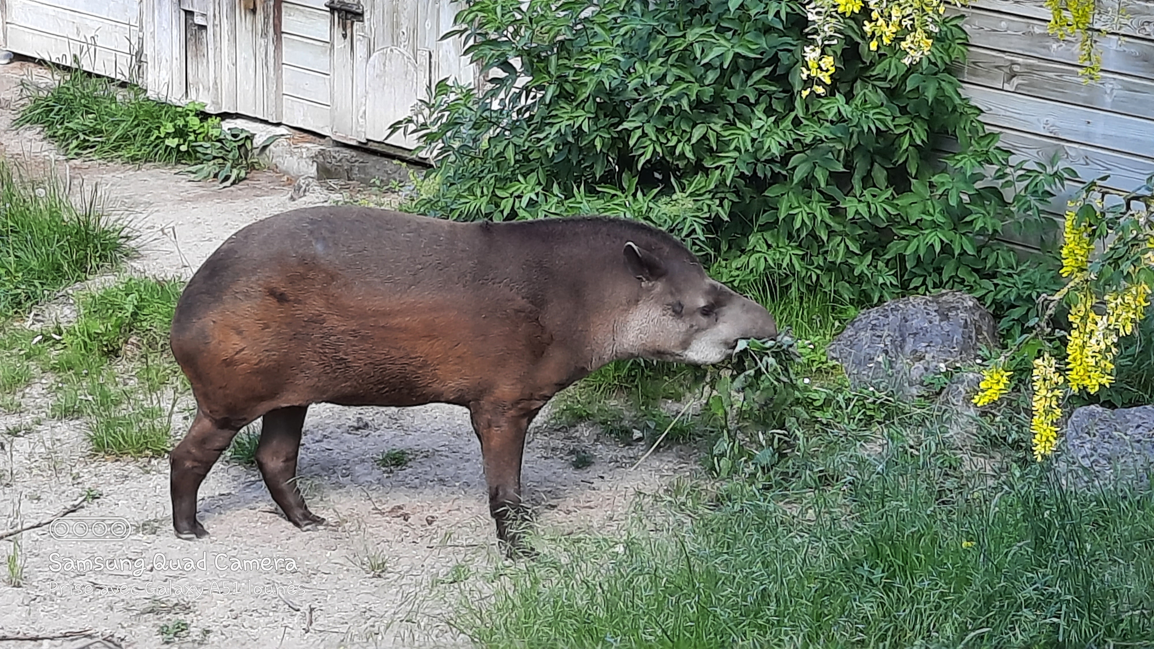 Photo n° 17 de l'avis de Lounes. fait le 02/06/2021 à 21:26