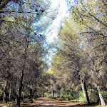 Photo n° 1 de l'avis de Alain.l fait le 14/05/2022 à 13:32 pour Les Aresquiers à Vic-la-Gardiole