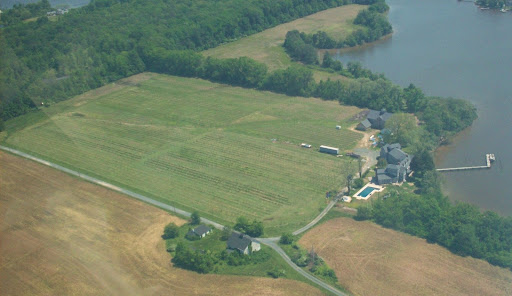 Vineyard «Cascia Vineyards & Winery», reviews and photos, 1200 Thompson Creek Rd, Stevensville, MD 21666, USA