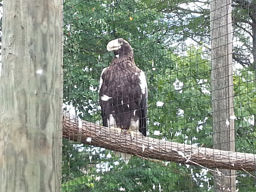 Tourist Attraction «Cleveland Zoo Train Station», reviews and photos, Wildlife Way, Cleveland, OH 44109, USA