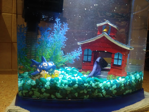 Pet Supply Store «Petco Animal Supplies», reviews and photos, 1775 Washington St, Hanover, MA 02339, USA