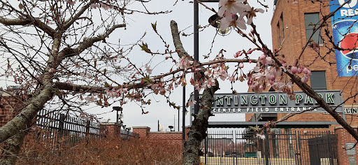 Stadium «Huntington Park», reviews and photos, 330 Huntington Park Ln, Columbus, OH 43215, USA