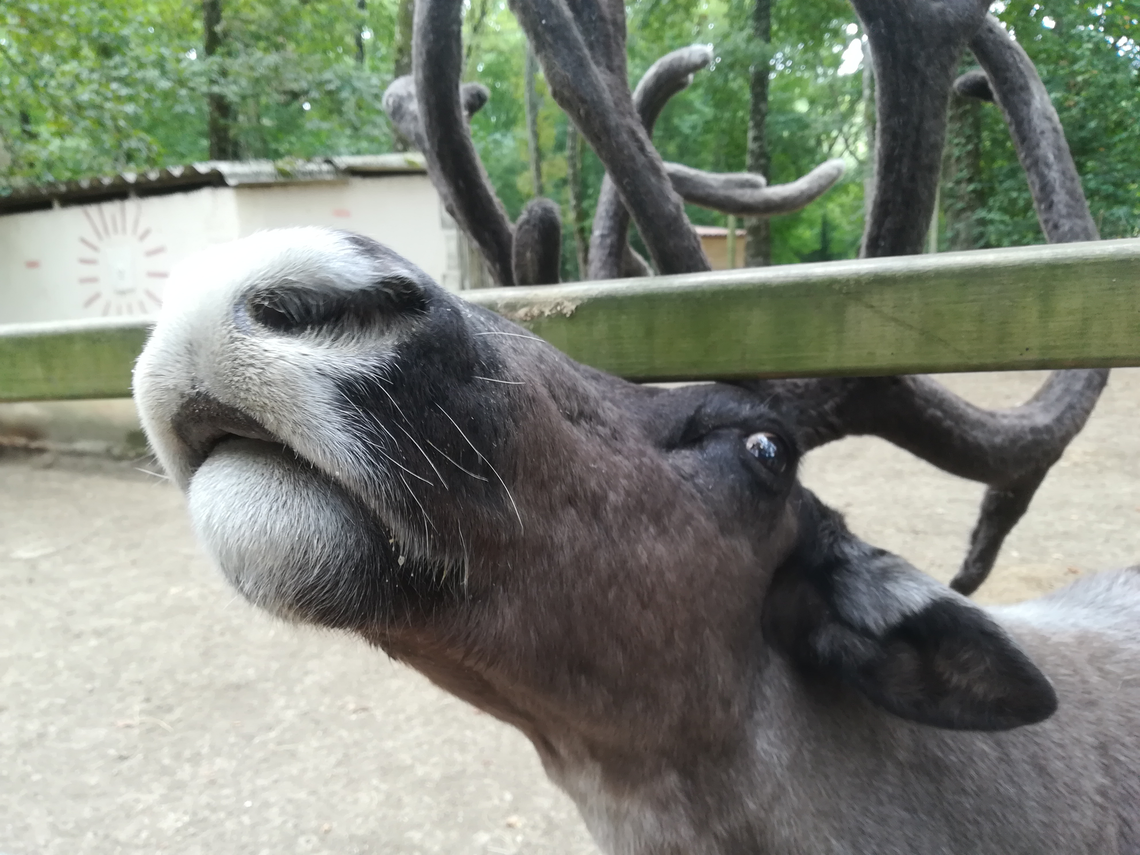 Photo n° 1 de l'avis de Cécile.. fait le 25/08/2019 à 13:57