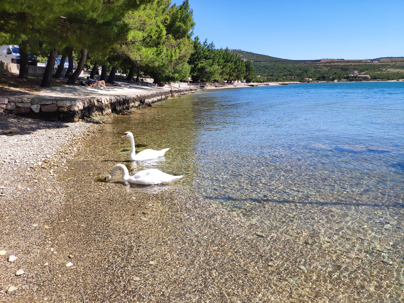 Beach Rovanjska photo #7
