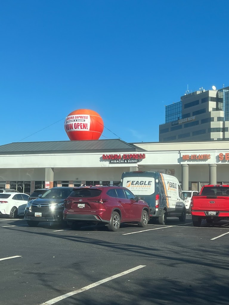 Sakura Express 20745