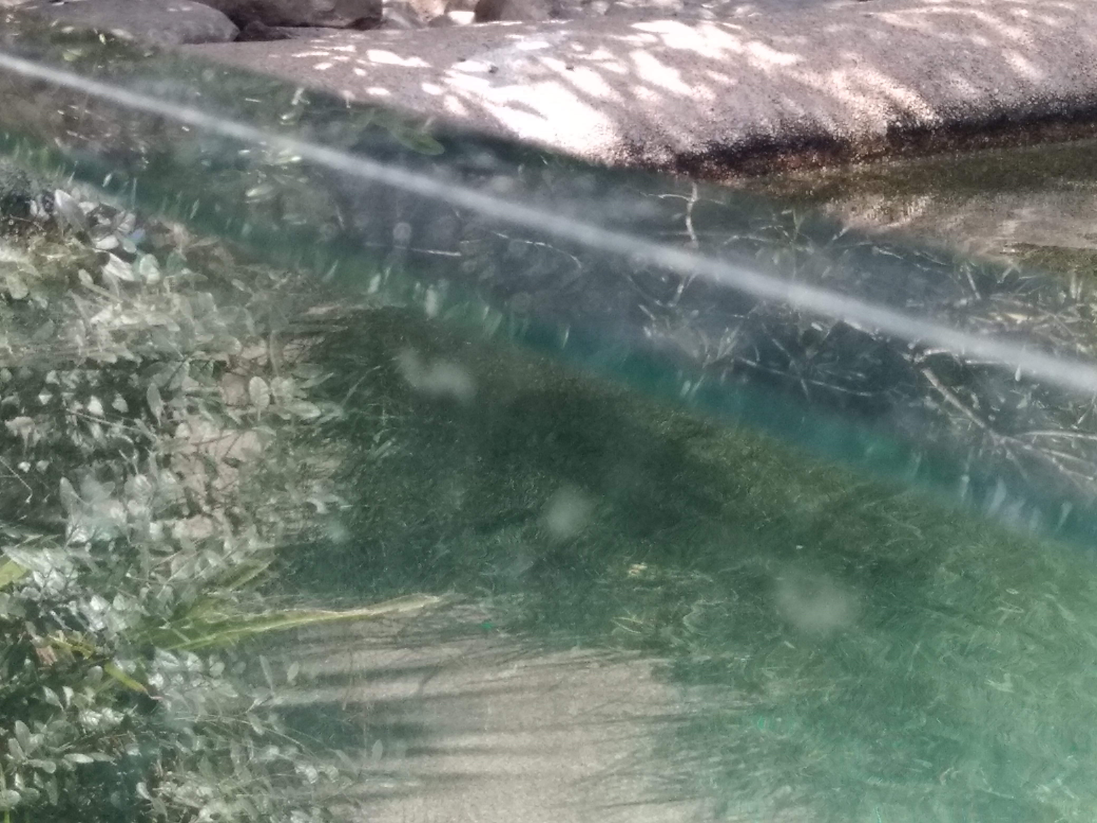 Photo n° 48 de l'avis de carine.a fait le 25/08/2019 à 20:31