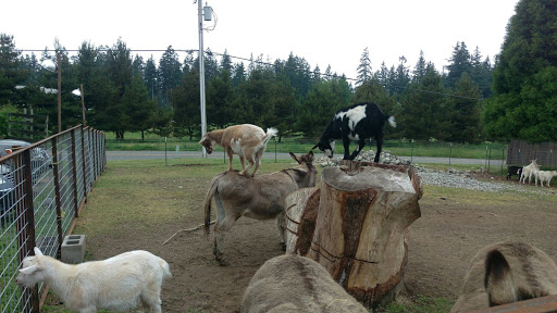 Wedding Venue «Red Cedar Farm», reviews and photos, 27054 NW Lofall Rd, Poulsbo, WA 98370, USA