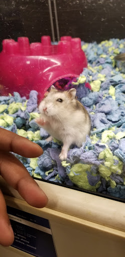 Pet Supply Store «PetSmart», reviews and photos, 2865 Oak Valley Dr, Ann Arbor, MI 48103, USA