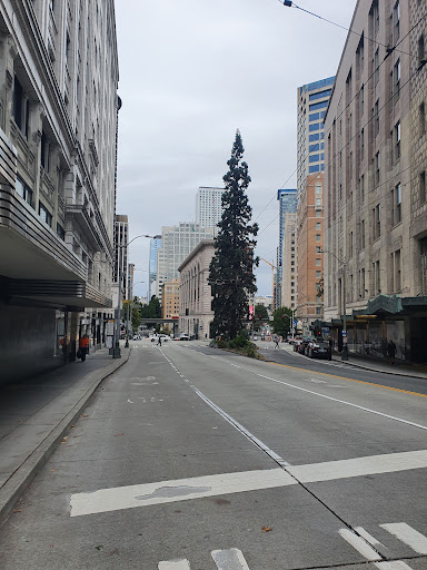 Shopping Mall «Westlake Center», reviews and photos, 400 Pine St, Seattle, WA 98101, USA