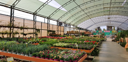Vivero Garden Center Belmonte