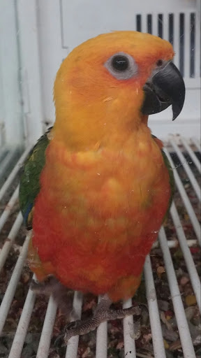 Pet Supply Store «Petco Animal Supplies», reviews and photos, 35 Fort Eddy Rd, Concord, NH 03301, USA