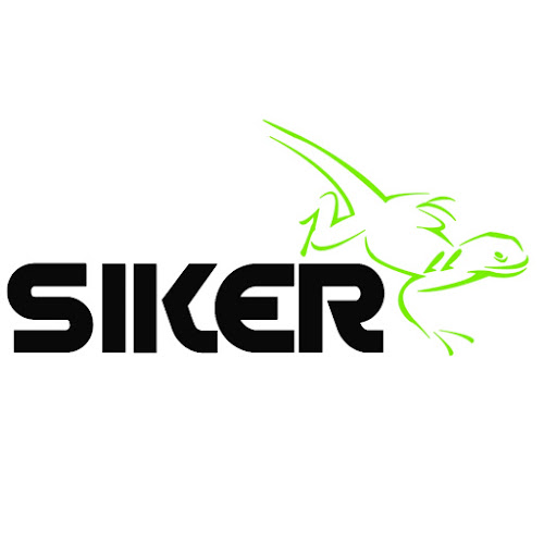 Opiniones de SIKER CHILE en El Bosque - Concesionario de automóviles