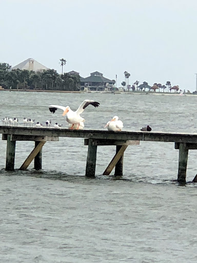 Indoor Lodging «Little Bay Club», reviews and photos, 1801 Broadway St, Rockport, TX 78382, USA