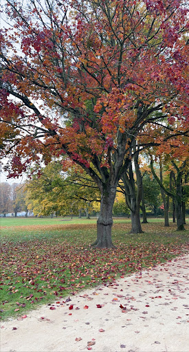 Hundeauslauffläche, Freilauf Ostparkstraße