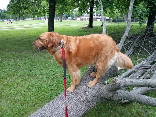 Pet Supply Store «Pet Supplies Plus», reviews and photos, 4505 S 76th St, Greenfield, WI 53220, USA