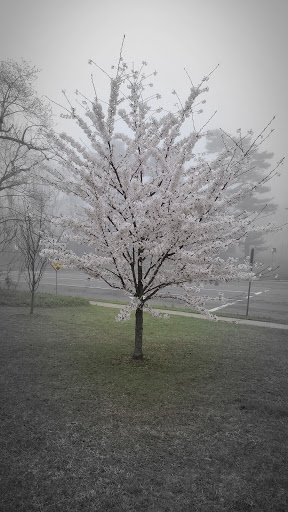 Golf Club «Cherry Valley Club», reviews and photos, Rockaway Ave, Garden City, NY 11530, USA