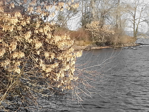 Park «Madrona Park», reviews and photos, 853 Lake Washington Blvd, Seattle, WA 98122, USA