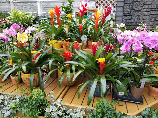 Garden Center «Dees Nursery & Florist», reviews and photos, 69 Atlantic Ave, Oceanside, NY 11572, USA