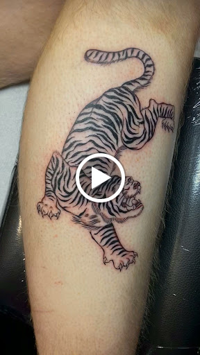 Explore tree of life tattoo ideas, creative tattoo ideas in Glenside, available at Iron Will Tattoo Club