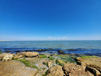 Texas A&M University-Corpus Christi - Photo 4 - Car repair in Corpus Christi, TX, Corpus Christi